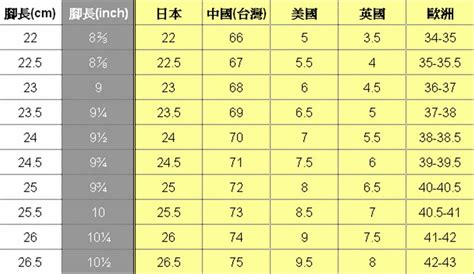 九號半是幾號|鞋碼尺寸對照表＆線上換算工具